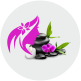 Body Massage in NIBM Pune